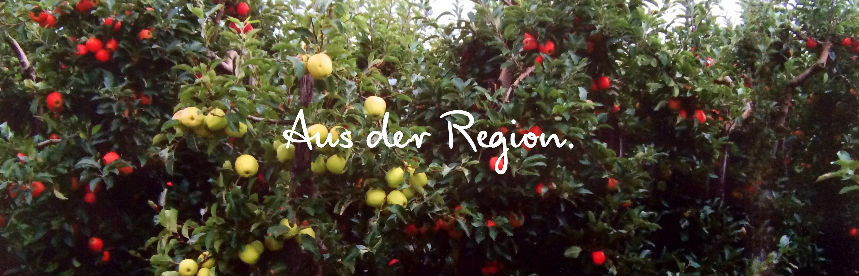 obst und gemüse aus der region